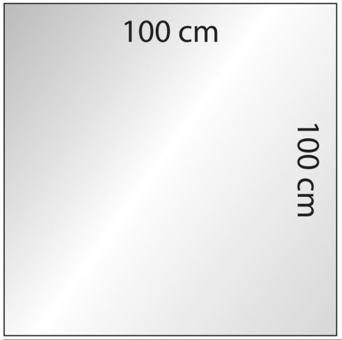 Plexi bezbarwna do podwieszenia 100x100.JPG