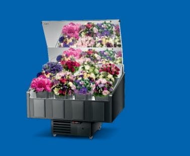 lada chłodnicza na kwiaty.JPG