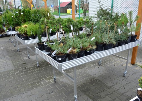 Stół mobilny 1,02 x 2,05 xH-800.jpg