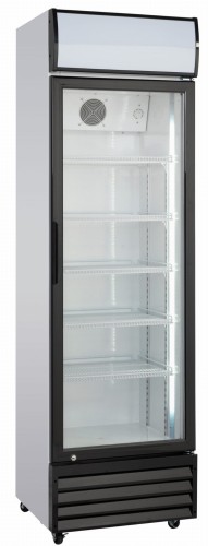 Szafa chłodnicza przeszklona 317 l