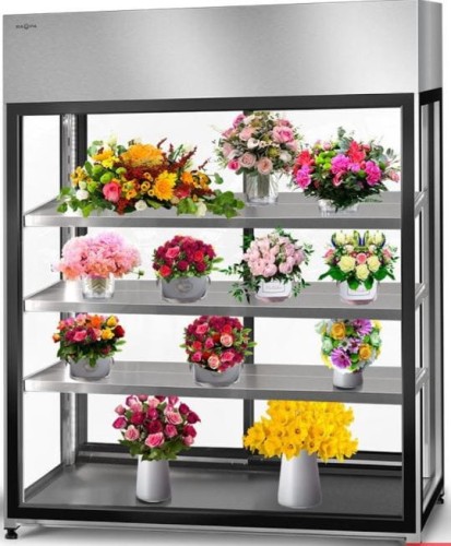 altana chłodnicza.JPG