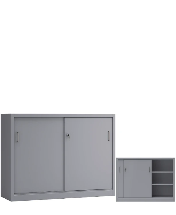 szafa aktowa Profi OP.jpg