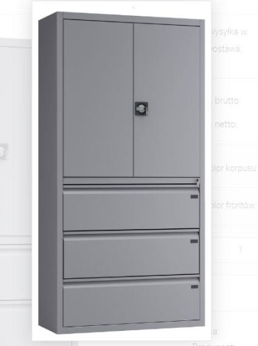 szafa aktowo-kartotekowa Profi.JPG