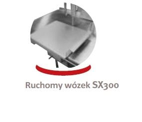 sx 300.JPG