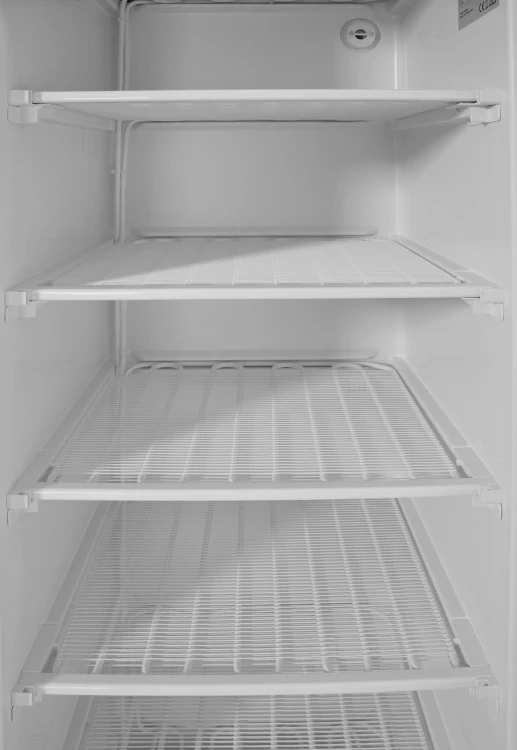 Szafa mroźnicza wolnostojąca Arktic Budget Line biały model