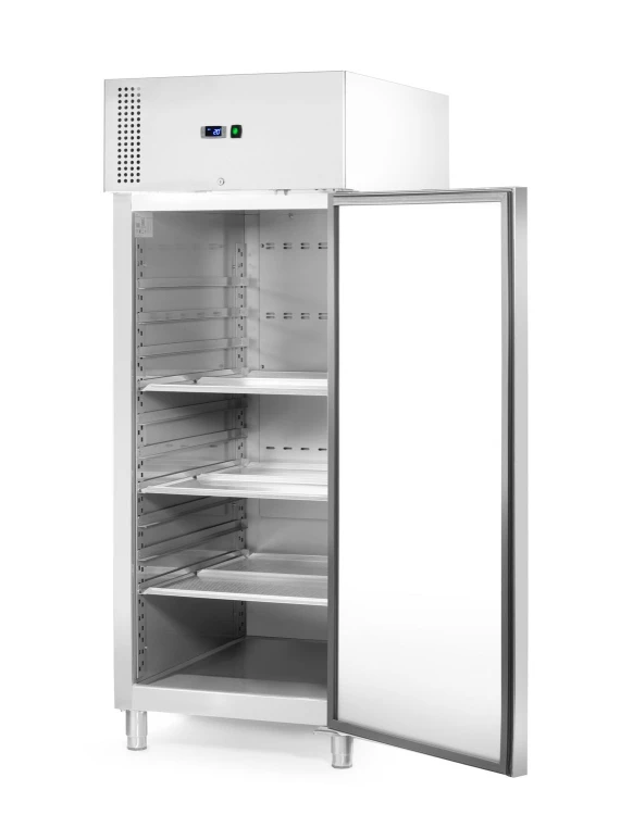 Zamrażarka gastronomiczna Arktic z 10 prowadnicami