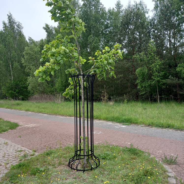Stalowa osłona pnia młodego drzewa