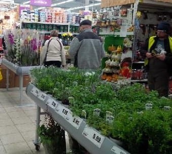 Stół zalewowy 1x2m.jpg