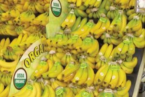 Organic_banana_display_o.jpg