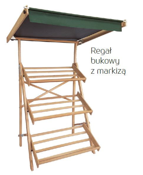 buk z markizą.JPG