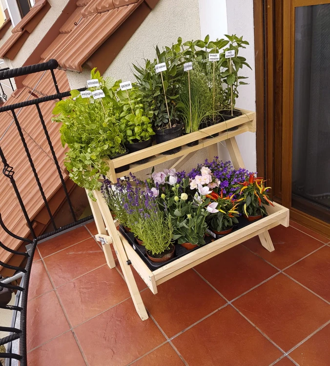 balkon ziola 2.jpg
