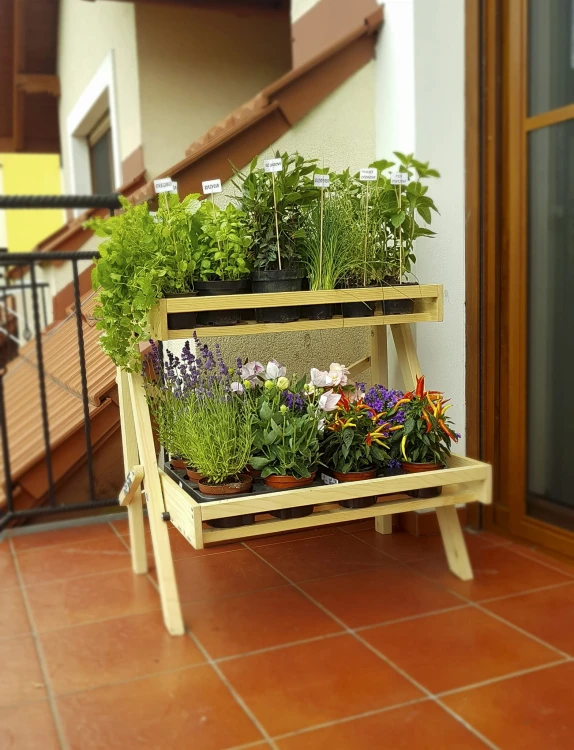 balkon ziola 3.jpg