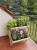 balkon ziola 4.jpg
