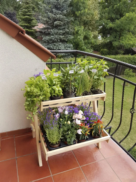 balkon ziola 4.jpg