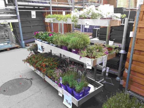 Piramida jednostronna3v2.jpg