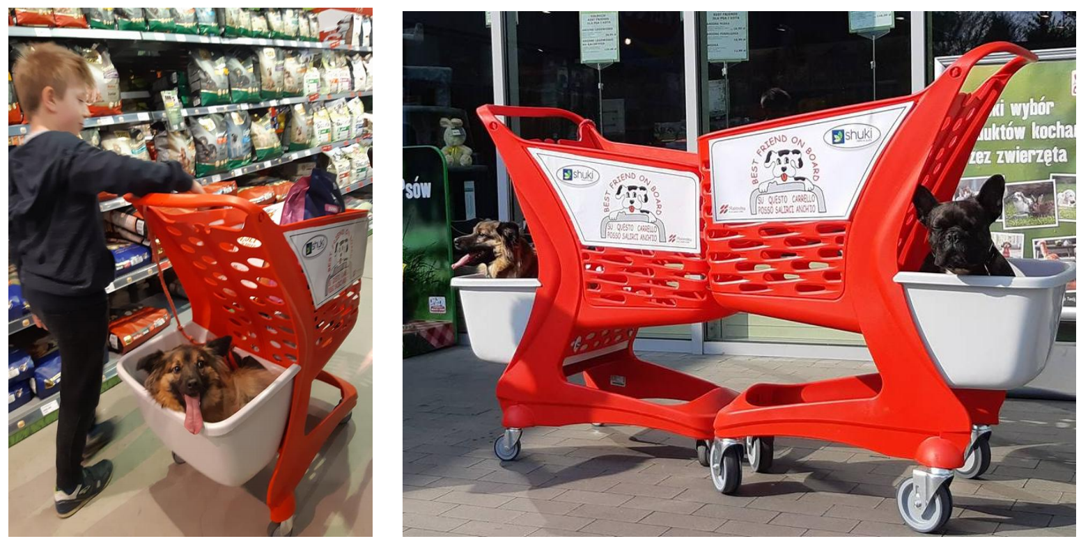 Wózek sklepowy z tworzywa  80 litrów Mini Basic, z miejscem dla pupila (pet boxem), Rabtrolley 